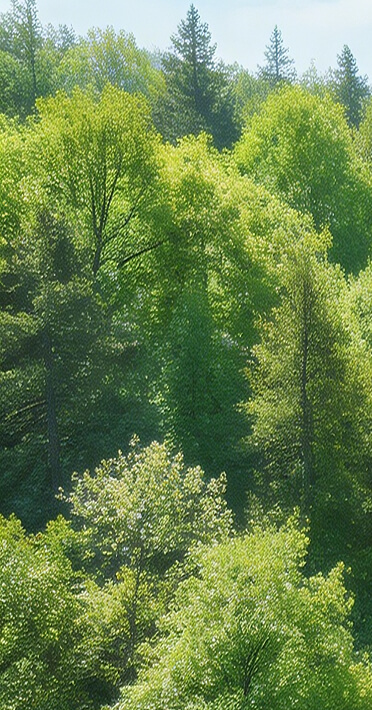 Do the hard but right things, adhering to customer core values.