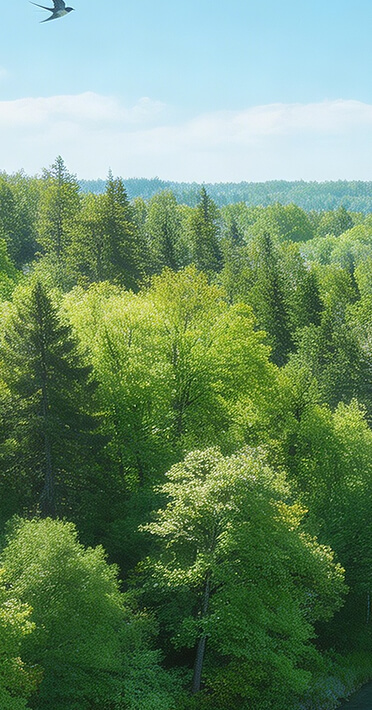 Enable customers and teams.