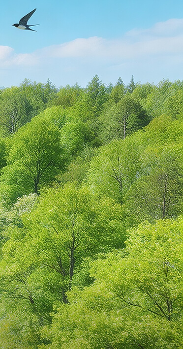 Talent is the company's core asset, organizational capability is the core competitiveness.